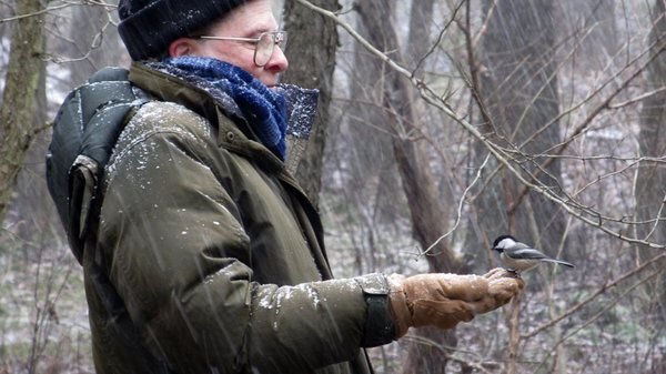 Ray Winstead with Chickadee at Blue Spruce Park near Indiana, Pennsylvania 12-26-2012